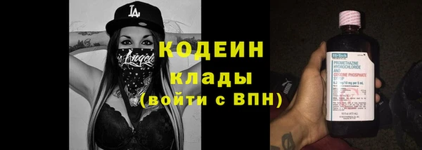 твердый Надым