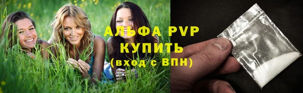 твердый Надым