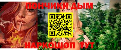 прущие крисы Камышлов
