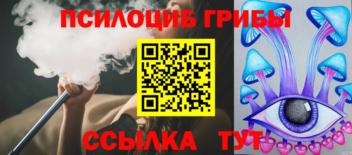 Псилоцибиновые грибы Cubensis Минусинск