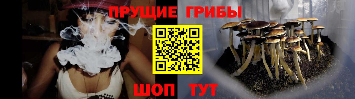 МЕТАДОН  НБОМе  МДМА  Мефедрон кристаллы  Вход с VPN  Марихуана  Минусинск  КОКАИН  ГАШ 