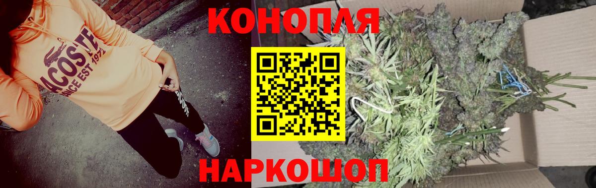 Бошки марихуана семена Минусинск
